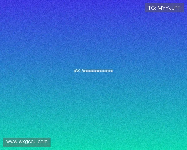 《NCIS第十季》:重温经典,那些触动心弦的瞬间