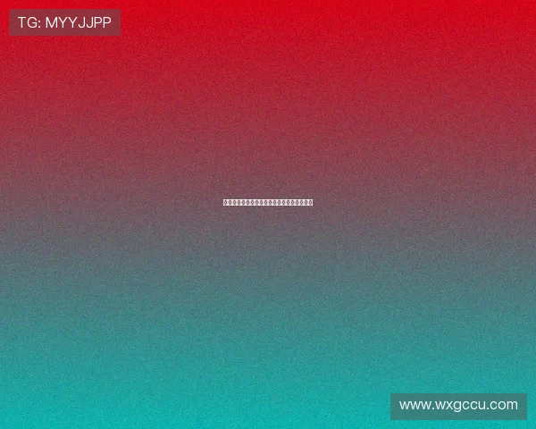 扬帆起航，逐梦星辰：海盗兄弟，不止是传说