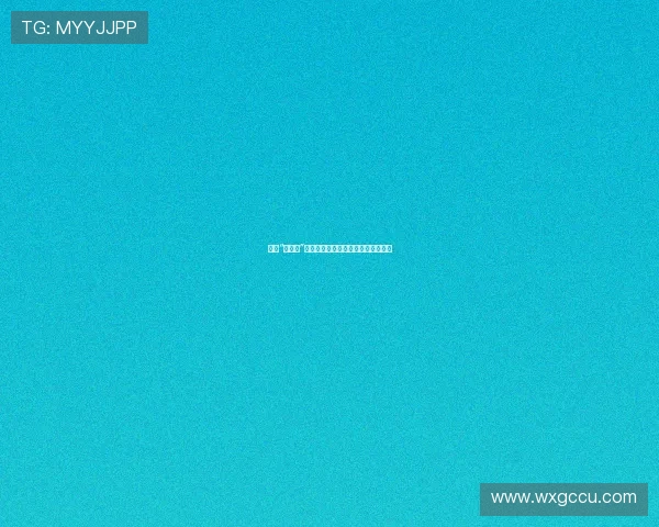 职场“杜拉拉”的炼成记：从小白到精英的蜕变之路